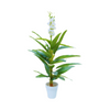 Af Glid Plant 220800039
