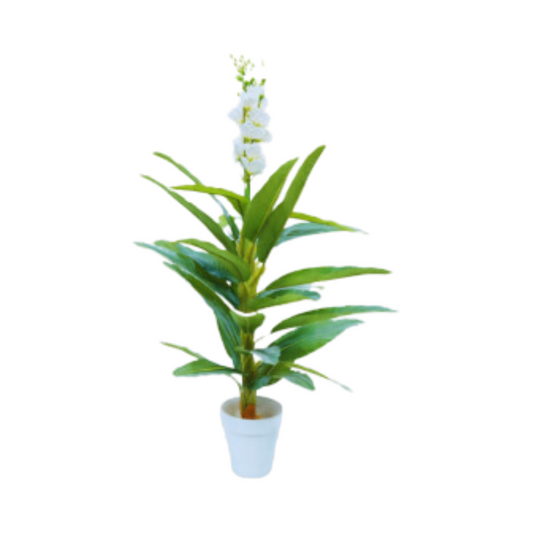Af Glid Plant 220800039