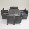 Rattan 8 chair and 1 table set