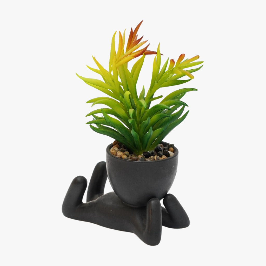 Planters & Pots