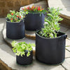 Premium Grow Bags for Healthy Plant Growth