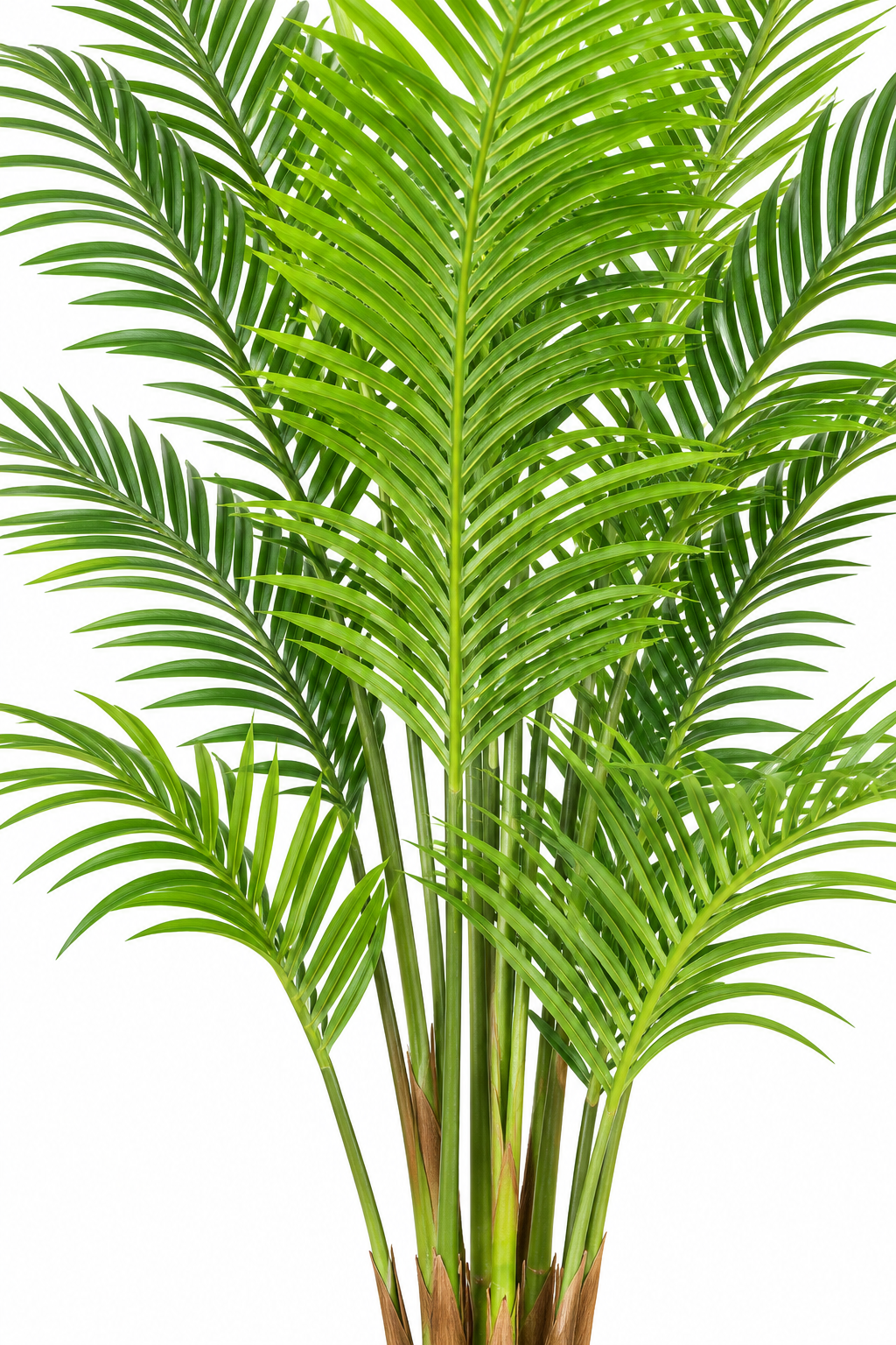 Artificial Palm Plant 002