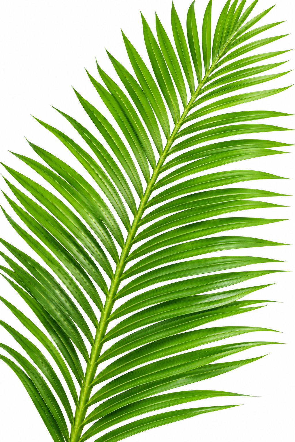 Artificial Palm Plant 002