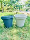 Planter Pot for Your Favorite Plants
