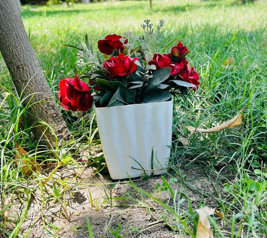 Beautiful Planter Pot for Your Favorite Plants