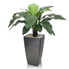 Square line planter