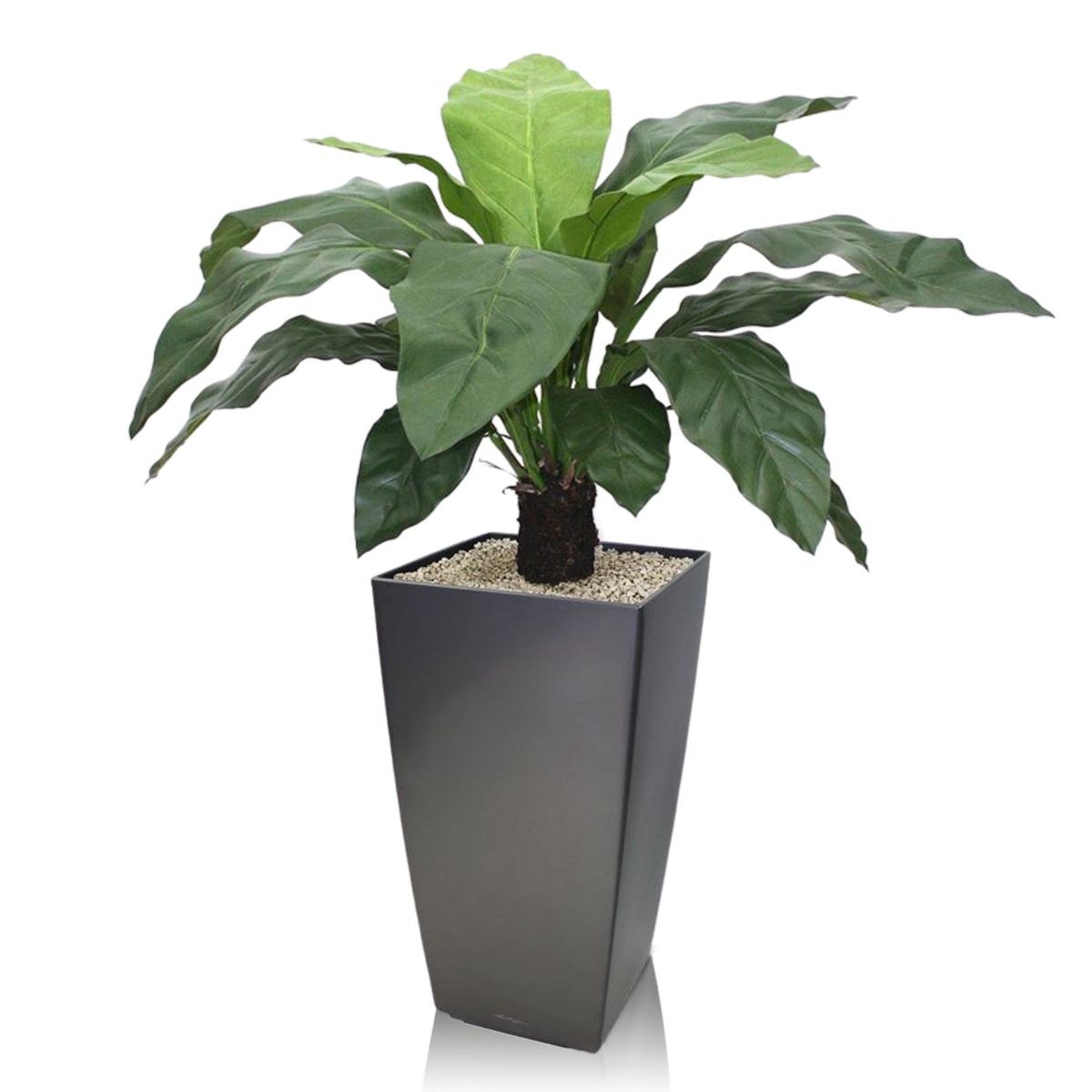 Square line planter