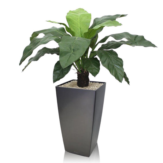 Square line planter