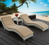Hcs Pool Lunger With Table  002