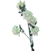 AF white Gulab Shakh 220100006