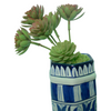AF Cactus Fancy Big Bunch 211200001