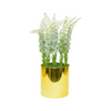 Af Cactus Lovander Gold 211200009