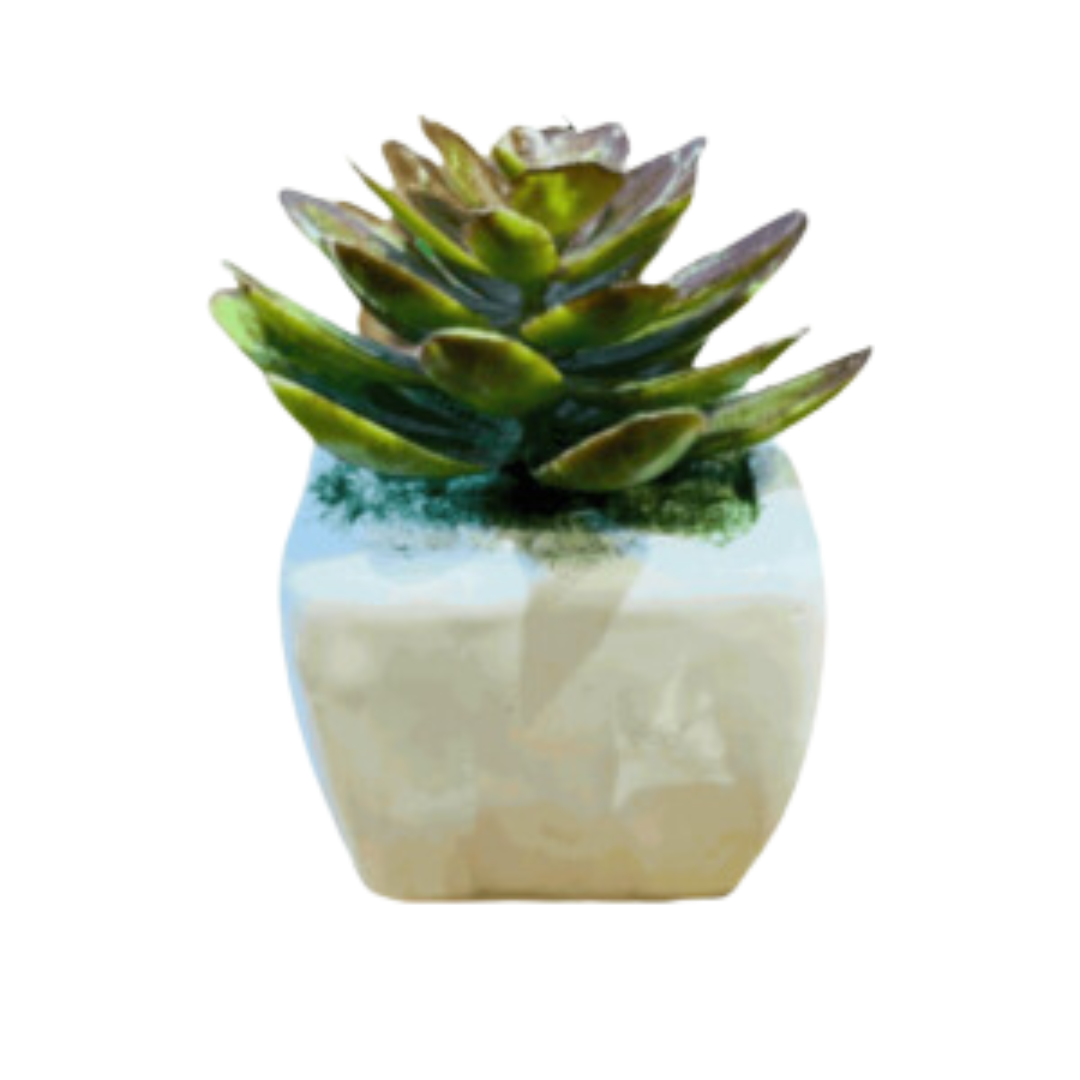 AF Cactus Small 220800045