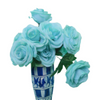 AF Colorful Bunch 221000002