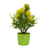 AF Colour Pot 230500002