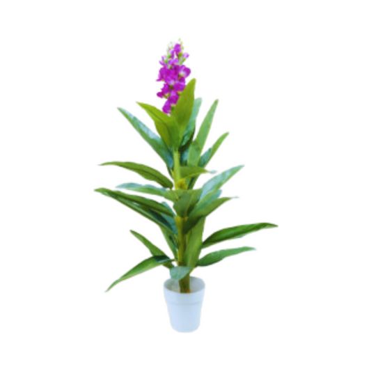 Af Glid Plant 220800039