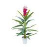 Af Glid Plant 220800039