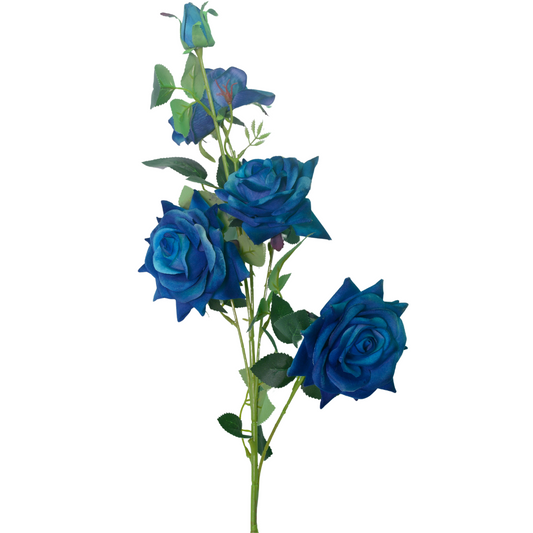 AF Gulab Shakh 220800042