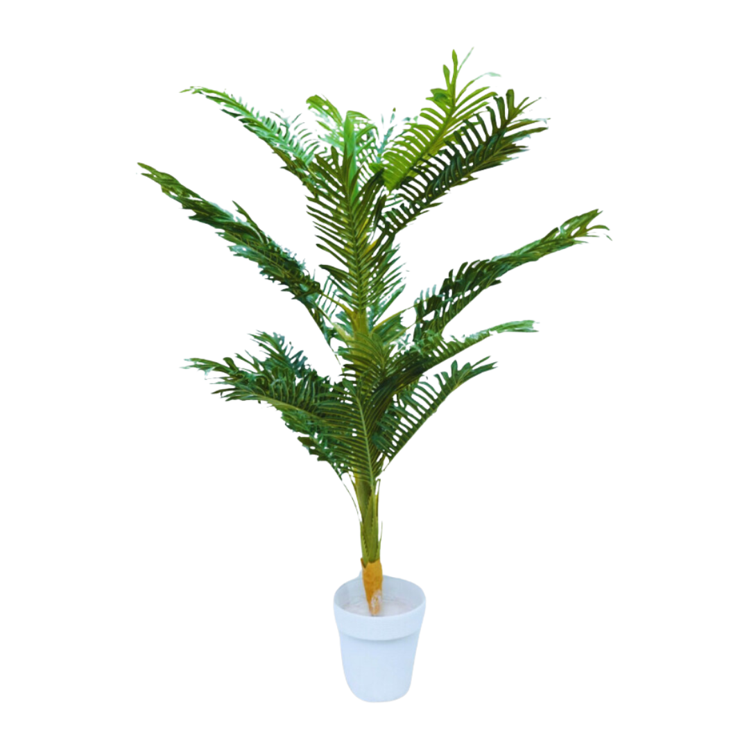 Af Palm Plant 230600023