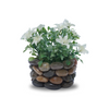 Af Ston Port Cactus Big 220100001