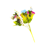 Af Gaubi New Bunch 220800037