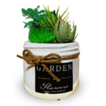 Ag Garden Cactus 220700001