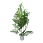 AF American Palm Plant 221000025
