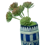 AF Cactus Fancy Big Bunch 211200001