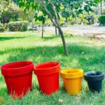 Hc ab  S1, S2, S3, S4, S5