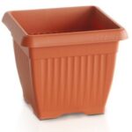 Beautiful Planter Pot for Your Favorite Plants